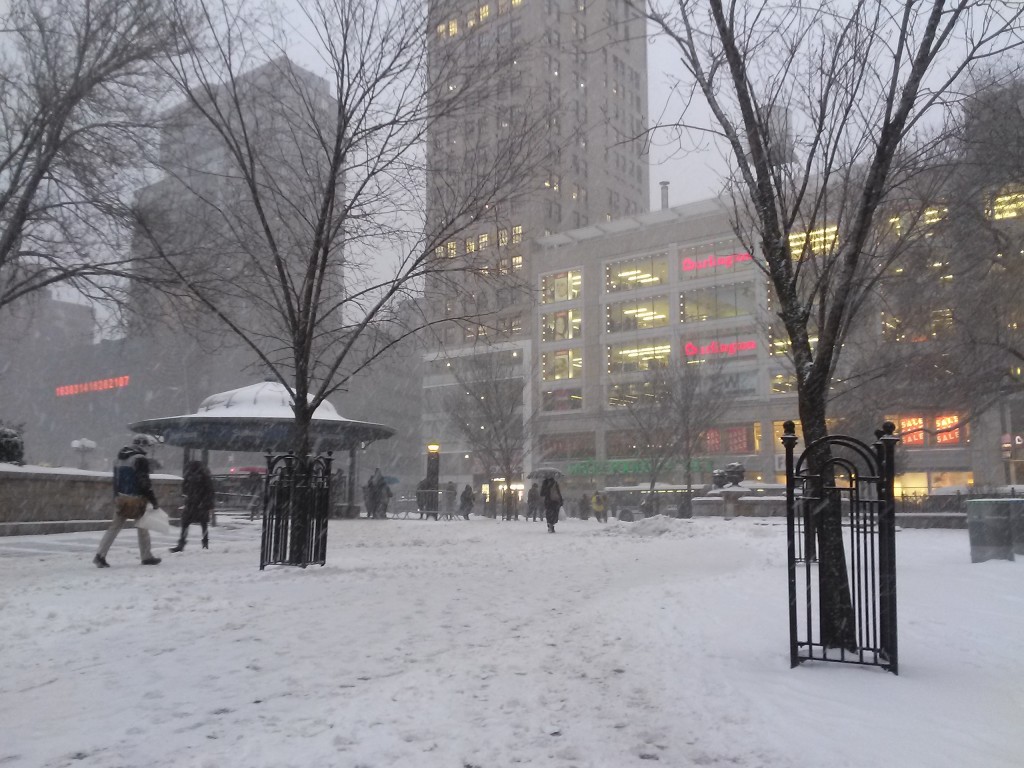 snow in NYC for English lessons at thesmallguidesite