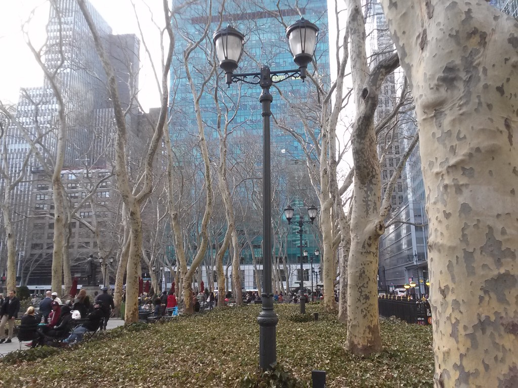 A nice afternoon for a stroll in Bryant Park. I wonder if these are birch trees.